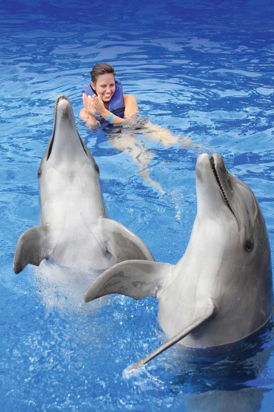 Nado con Delfines | Dolphin Encounter 40 mins | Puerto Aventuras