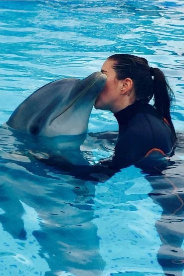 Nado con Delfines | Dolphin Encounter 40 mins | Puerto Aventuras