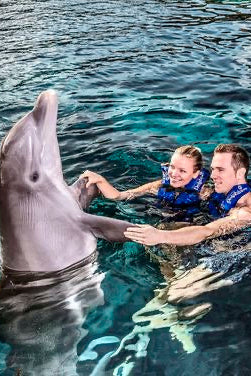 Nado con Delfines | Dolphin Connection 50 minutos | Puerto Aventuras