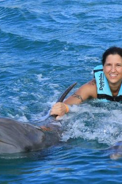 Nado con Delfines | Dolphin Connection 50 minutos | Puerto Aventuras