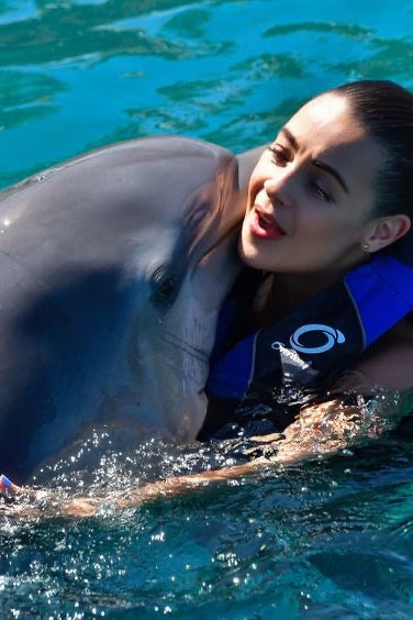 Nado con delfines | Royal Connection 60 mins | Puerto Aventuras