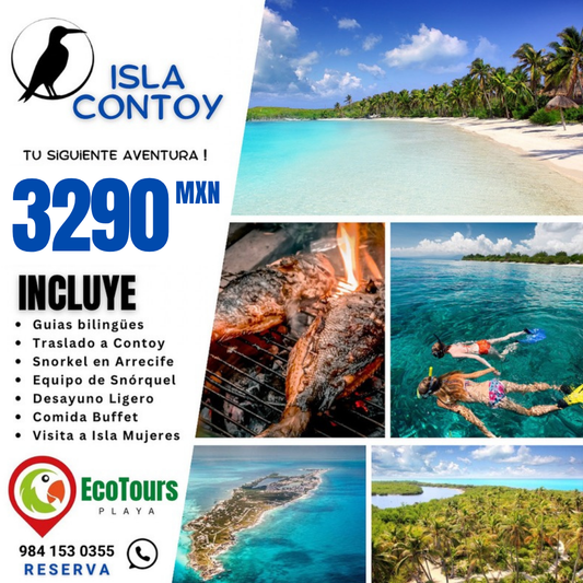 Isla Contoy + Isla Mujeres