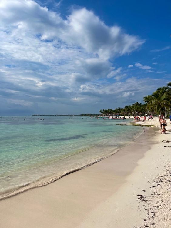 AKUMAL + ATVS + CENOTE