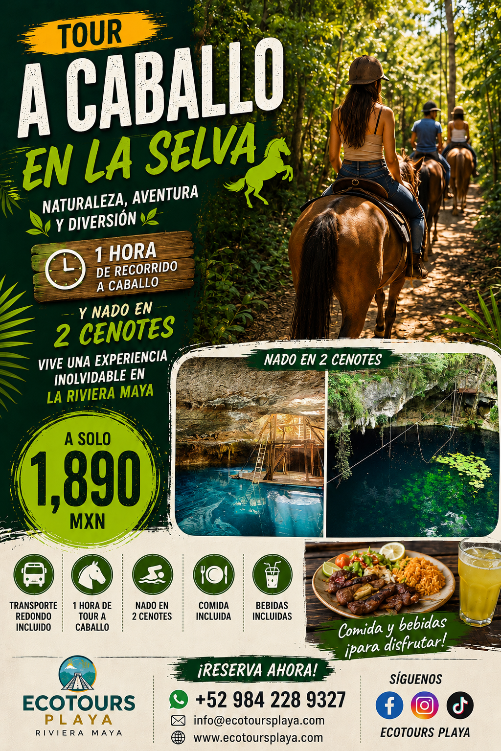 CHEVAL DANS LA JUNGLE ET CENOTE
