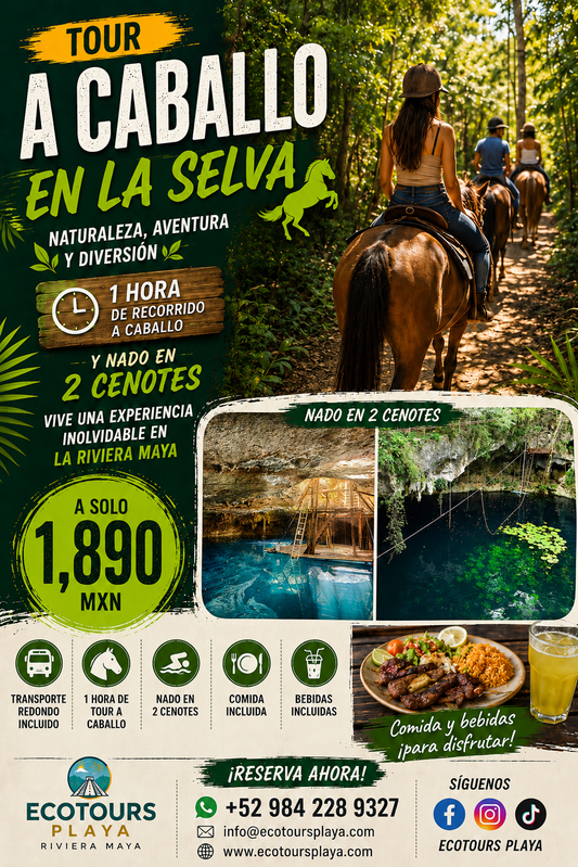 CABALLO EN LA SELVA Y CENOTE 🐎
