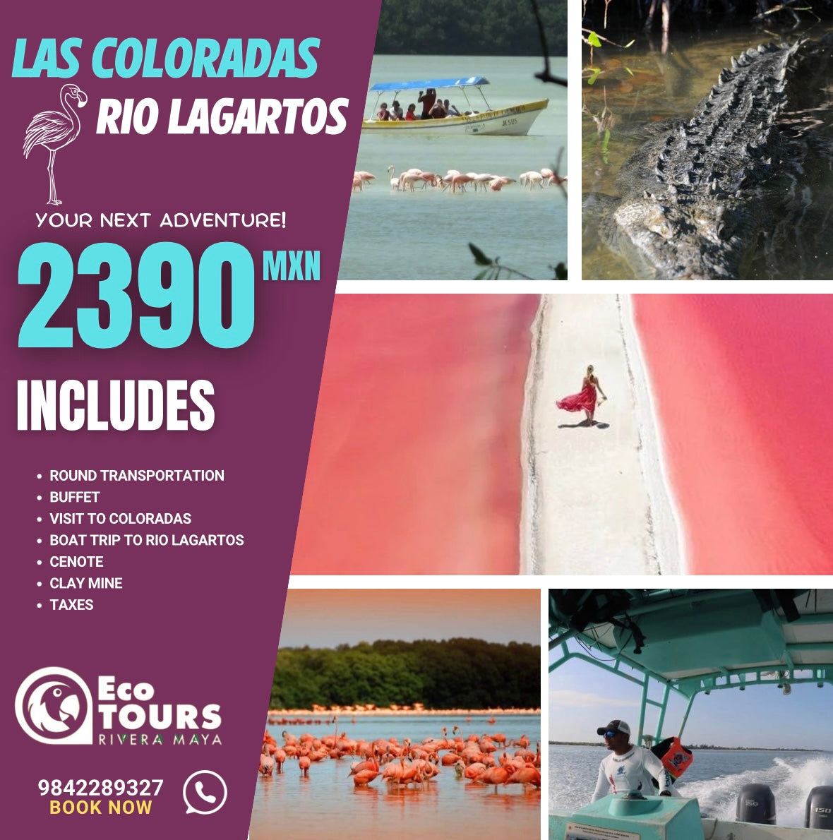 Las Coloradas Rio Lagartos