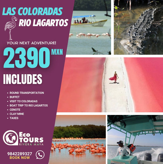 Las Coloradas Rio Lagartos