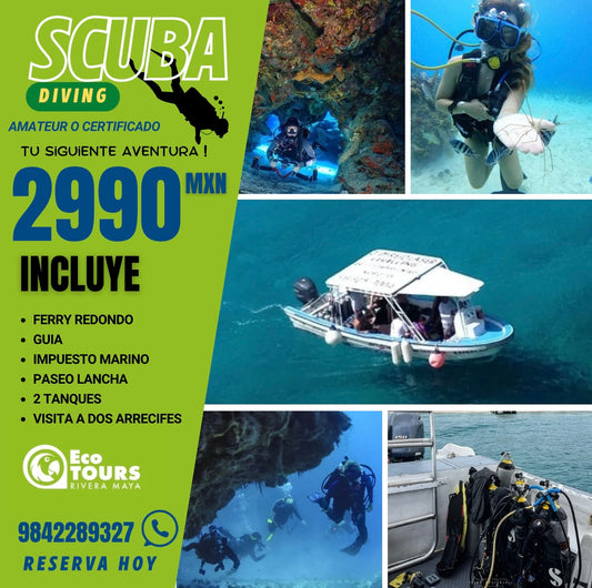 Buceo Certificado Cozumel 2 tanques
