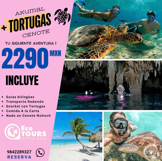 AKUMAL TORTUGAS + CENOTE